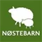 Logo Nøstebarn