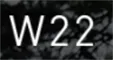 Logo W22