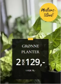 Floriss-katalog | Medlems-tilbud! | 2026-04-09T00:00:00.000Z - 2026-04-23T00:00:00.000Z