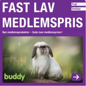 Buddy-katalog i Hægeland | Fast lav medlemspris  | 2025-05-19T00:00:00.000Z - 2025-06-02T00:00:00.000Z