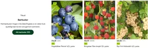 Hageland-katalog i Skarnes | Bærbusker | 2025-06-04T00:00:00.000Z - 2025-06-18T00:00:00.000Z