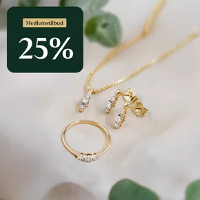 Gullfunn-katalog i Brønnøysund | 25% | 2025-06-05T00:00:00.000Z - 2025-06-19T00:00:00.000Z