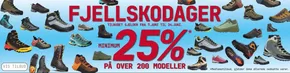 25%