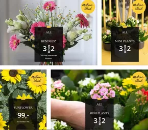 Floriss-katalog i Stavsjø | Medlems- tilbud! | 2025-06-23T00:00:00.000Z - 2025-06-29T00:00:00.000Z