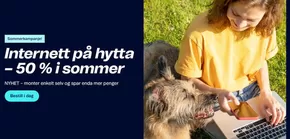 Telenor-katalog i Hokksund | Internett på hytta – 50 % i sommer | 2025-06-24T00:00:00.000Z - 2025-08-01T00:00:00.000Z